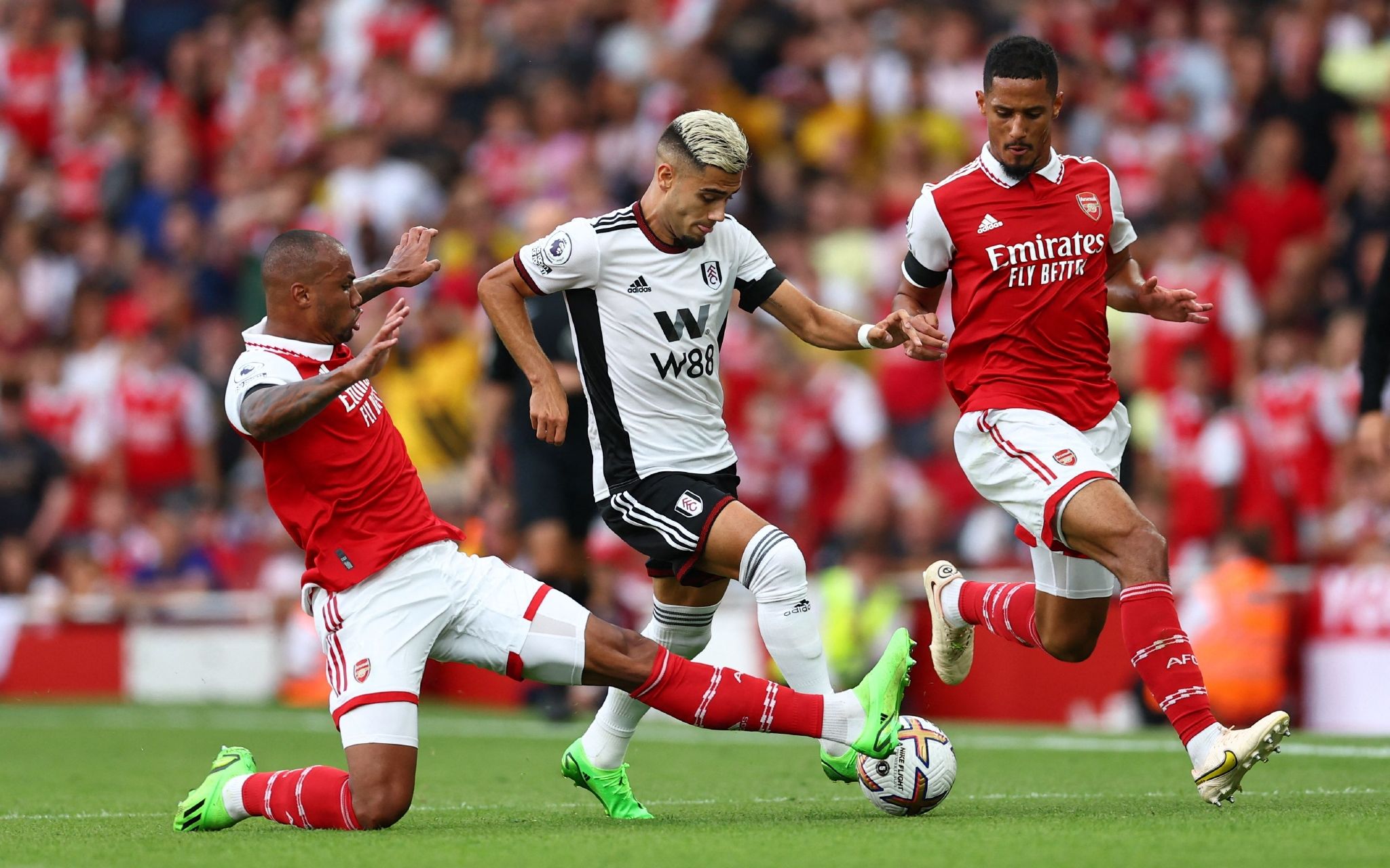 非洲长跑与 非洲长跑与