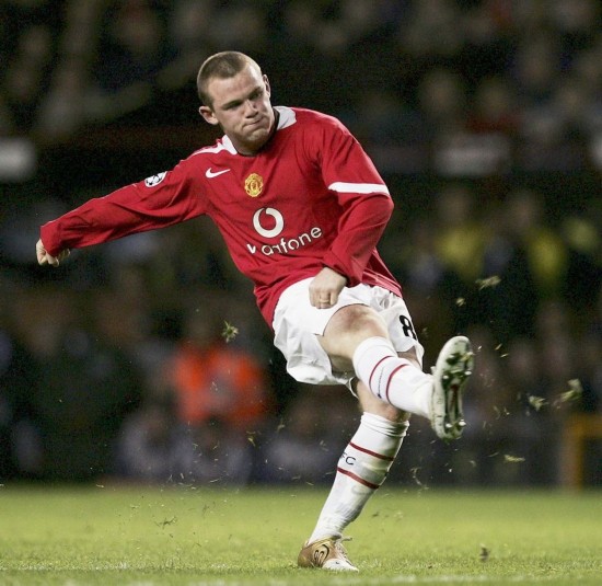 姜伟泽的领 姜伟泽的领