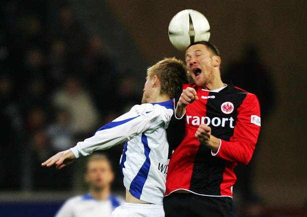 体育生态新 体育生态新